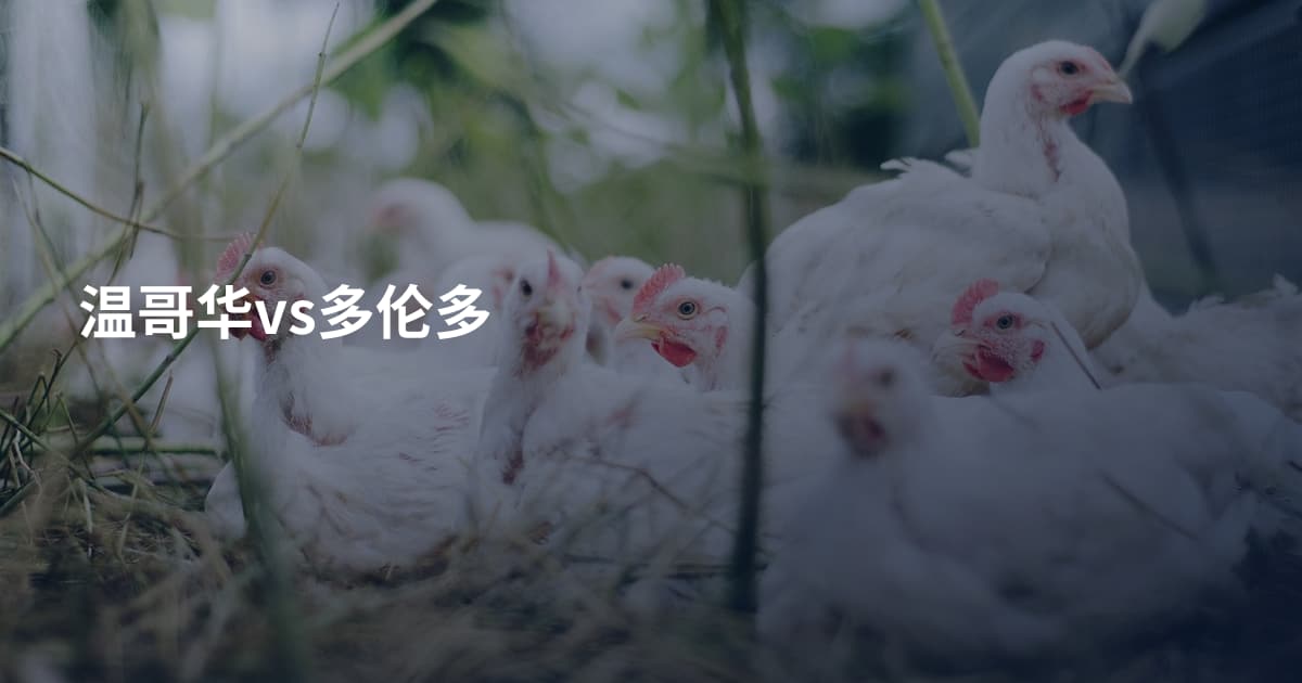 温哥华vs多伦多