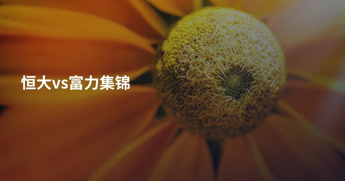 恒大vs富力集锦