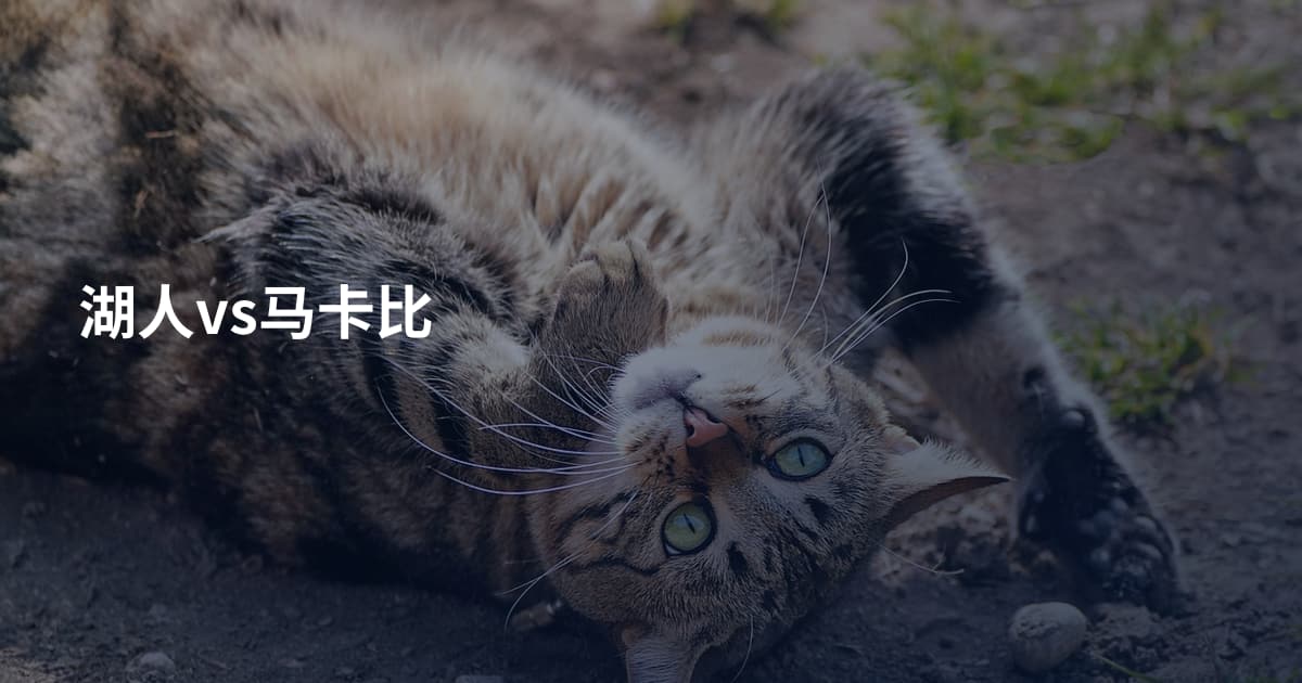 湖人vs马卡比