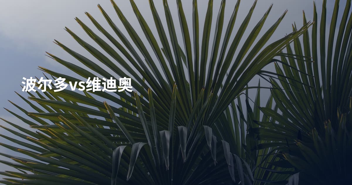 波尔多vs维迪奥
