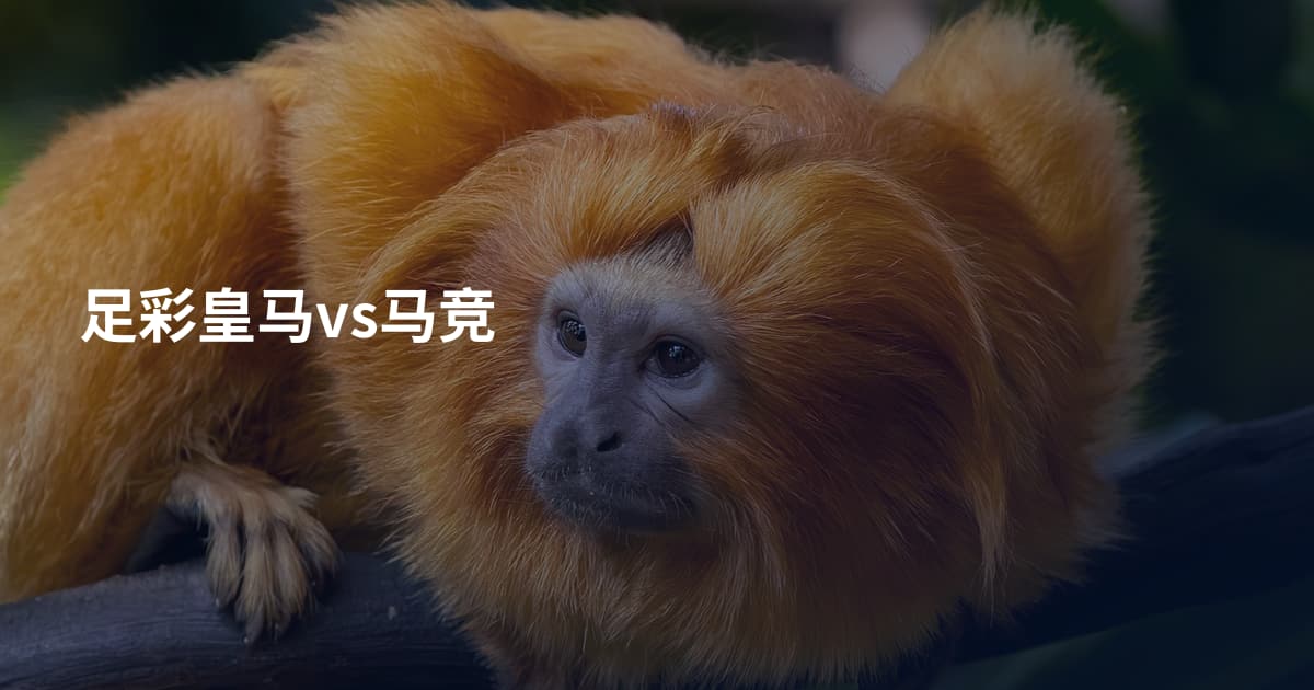 足彩皇马vs马竞