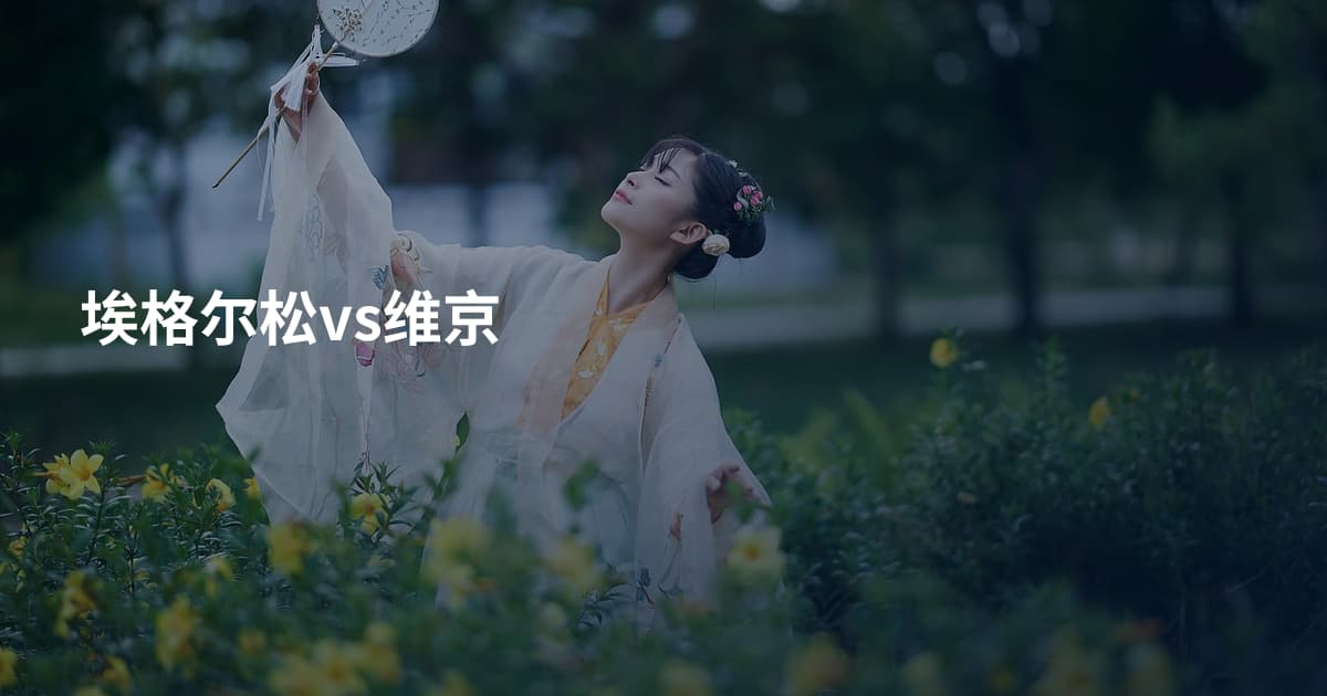 埃格尔松vs维京
