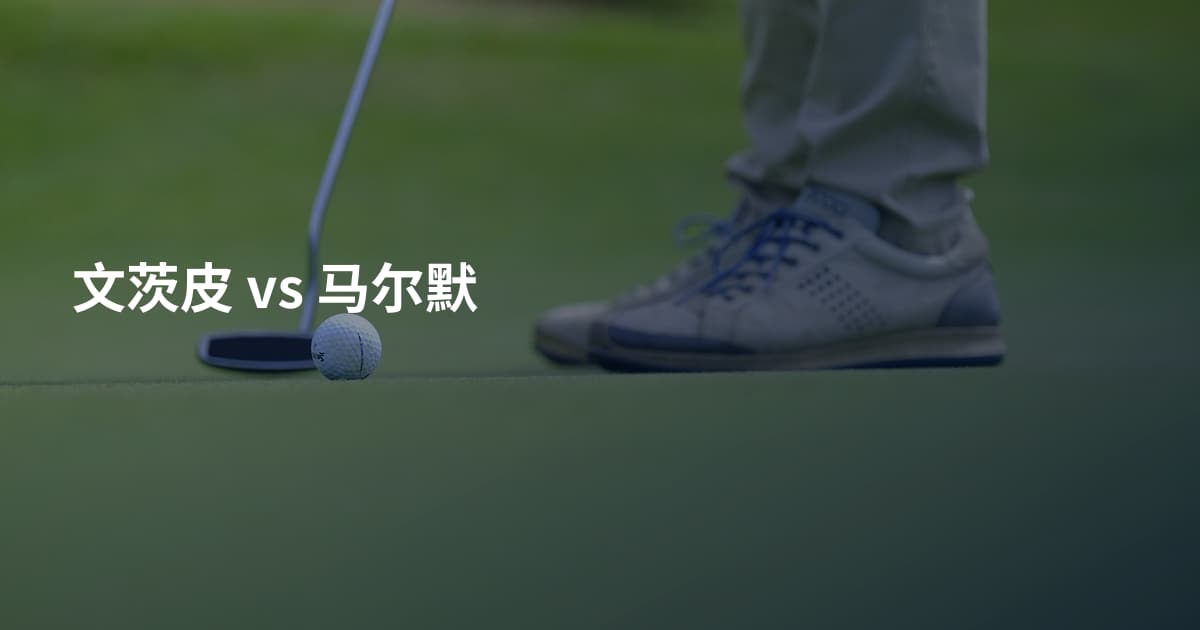 文茨皮 vs 马尔默