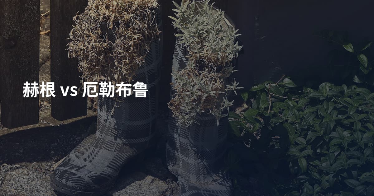 赫根 vs 厄勒布鲁