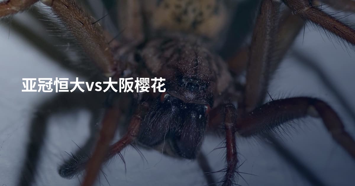 亚冠恒大vs大阪樱花