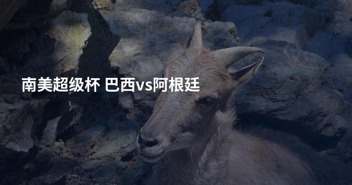 南美超级杯 巴西vs阿根廷
