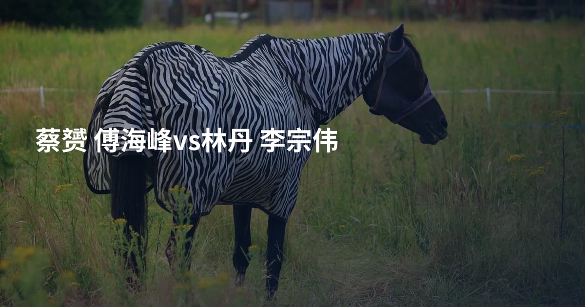 蔡赟 傅海峰vs林丹 李宗伟