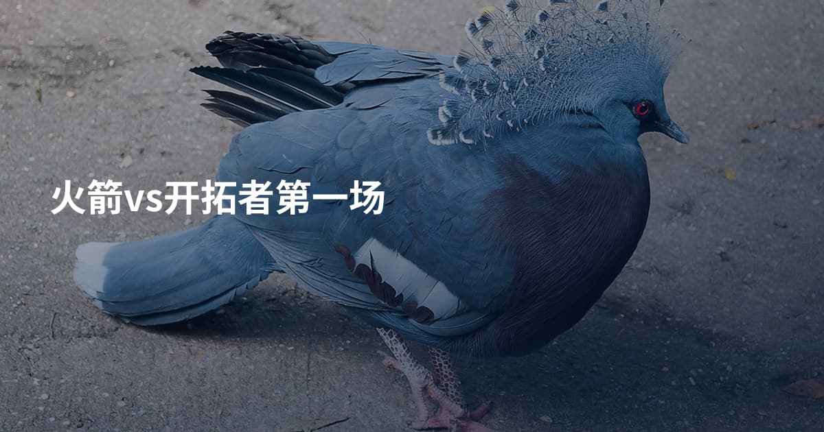 火箭vs开拓者第一场