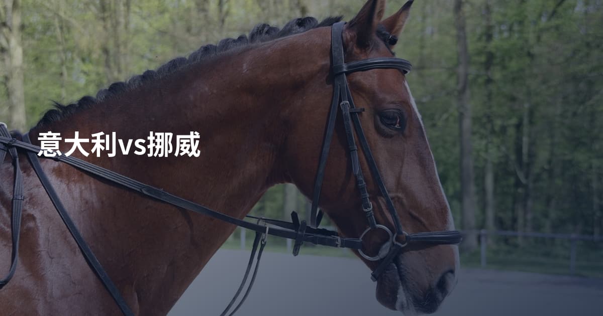 意大利vs挪威