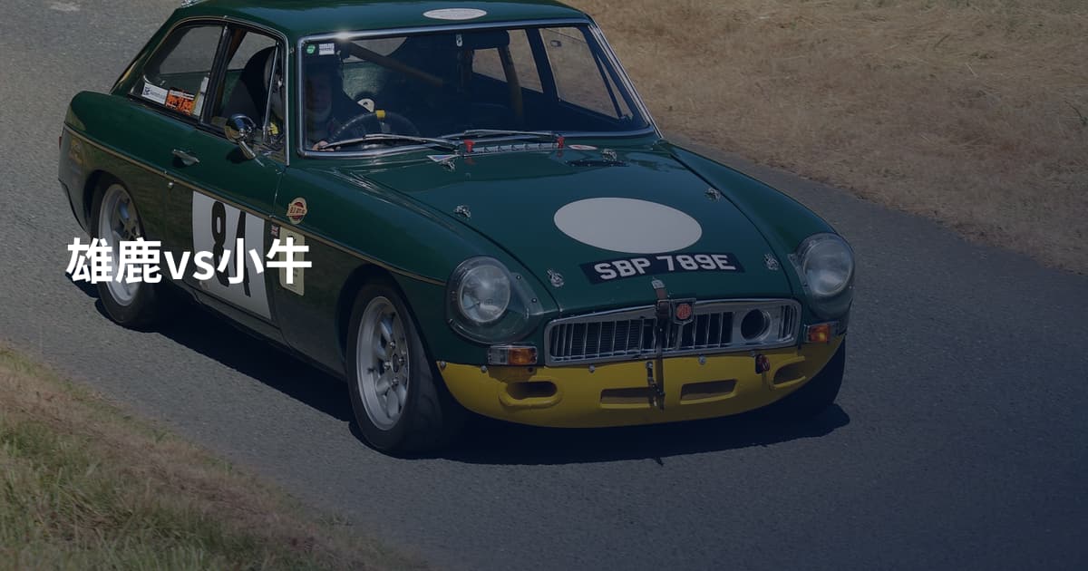 雄鹿vs小牛