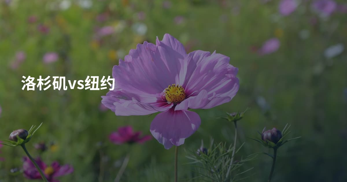 洛杉矶vs纽约