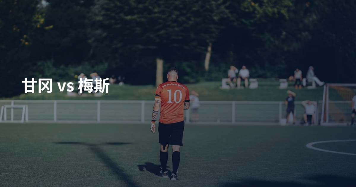 甘冈 vs 梅斯