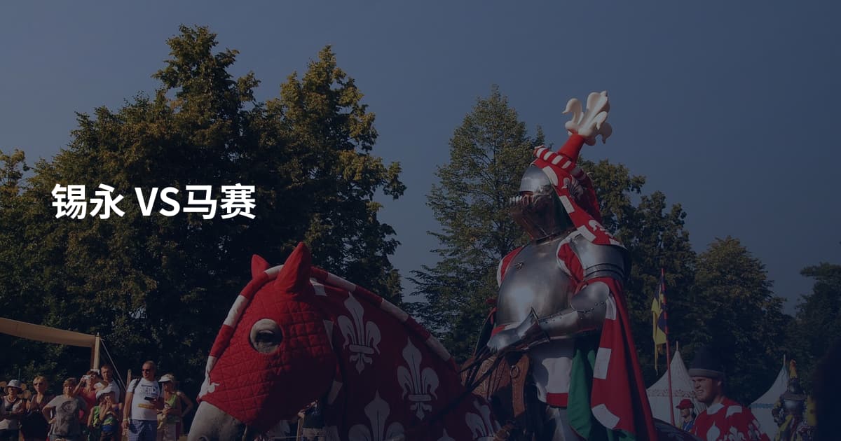 锡永 VS马赛