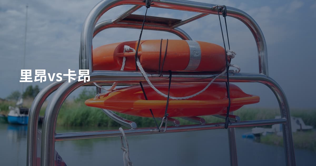 里昂vs卡昂