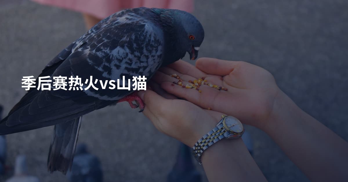 季后赛热火vs山猫