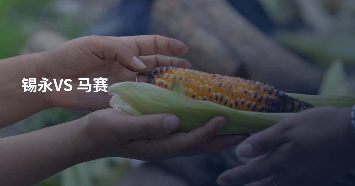 锡永VS 马赛