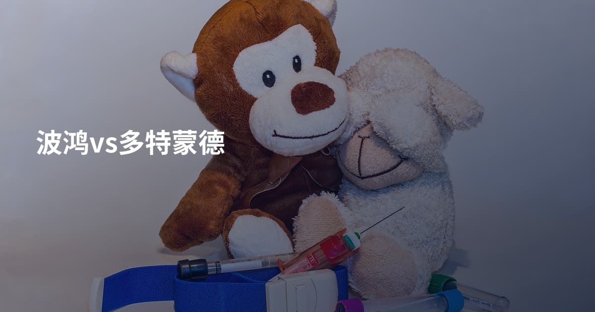 波鸿vs多特蒙德