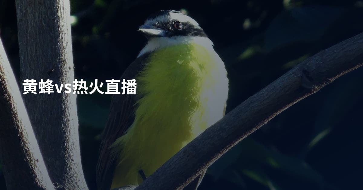 黄蜂vs热火直播