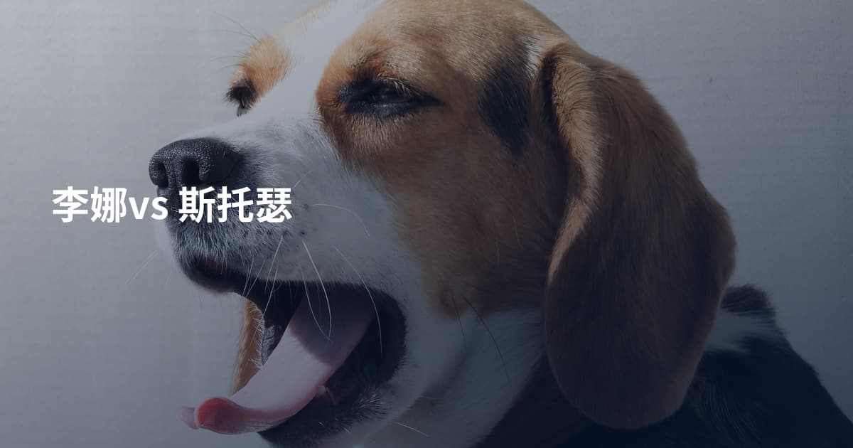 李娜vs 斯托瑟