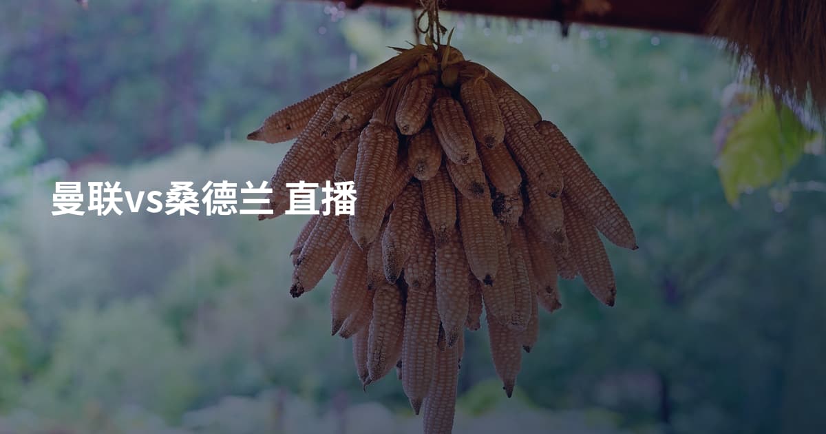 曼联vs桑德兰 直播