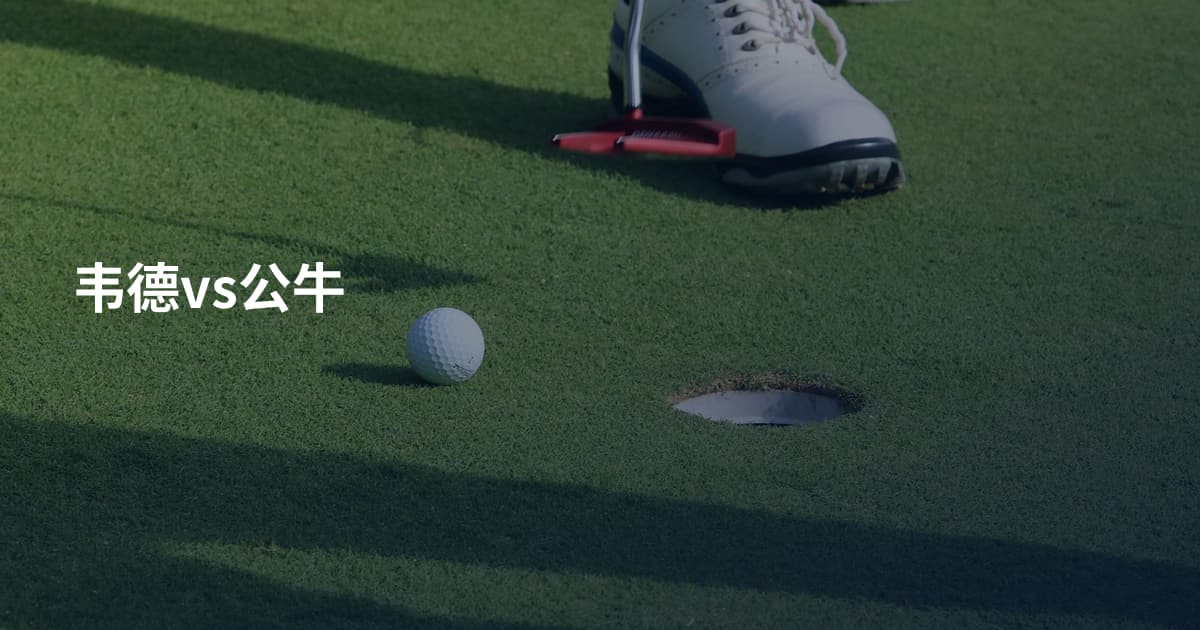 韦德vs公牛