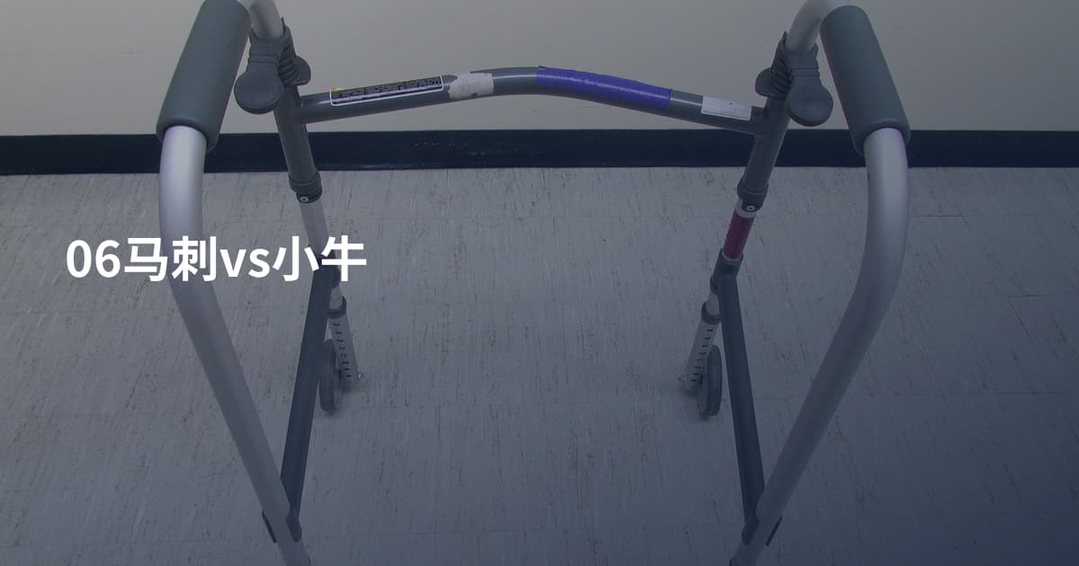 06马刺vs小牛