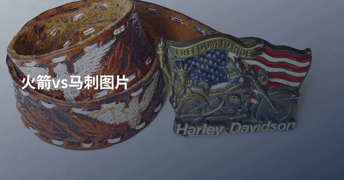 火箭vs马刺图片