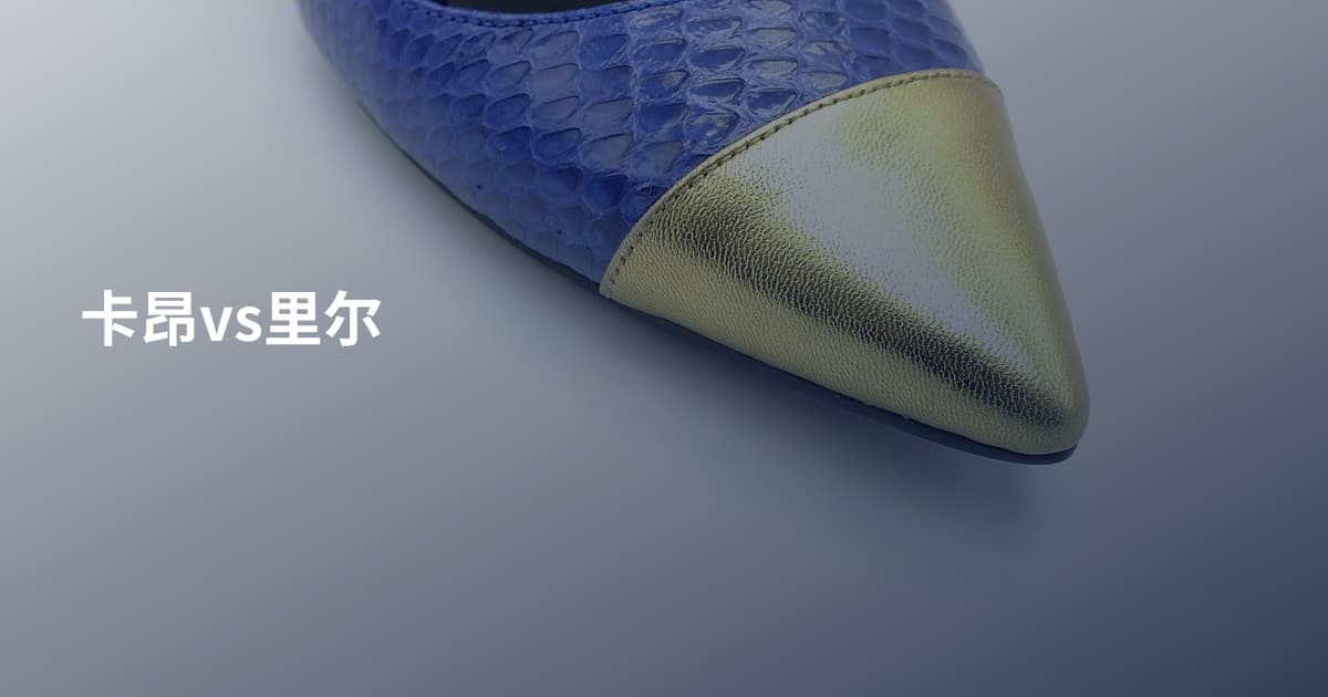 卡昂vs里尔