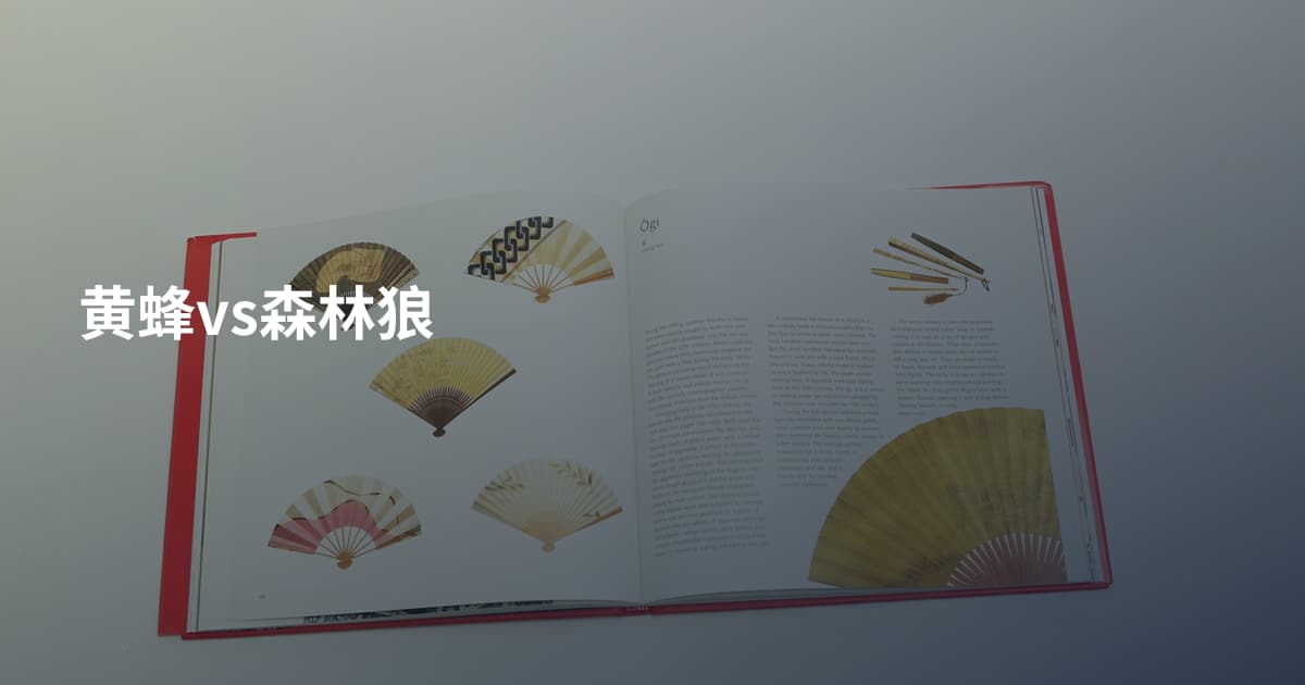黄蜂vs森林狼