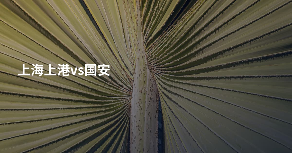 上海上港vs国安