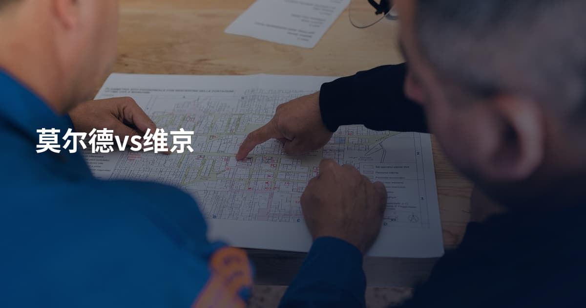 莫尔德vs维京