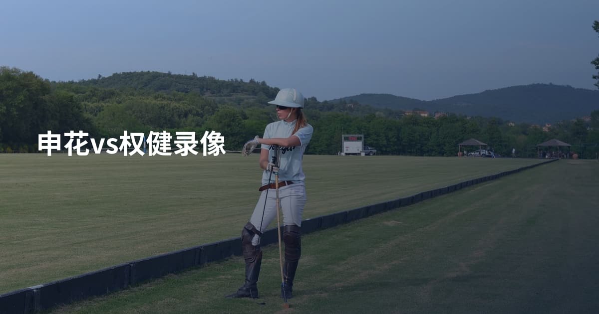 申花vs权健录像