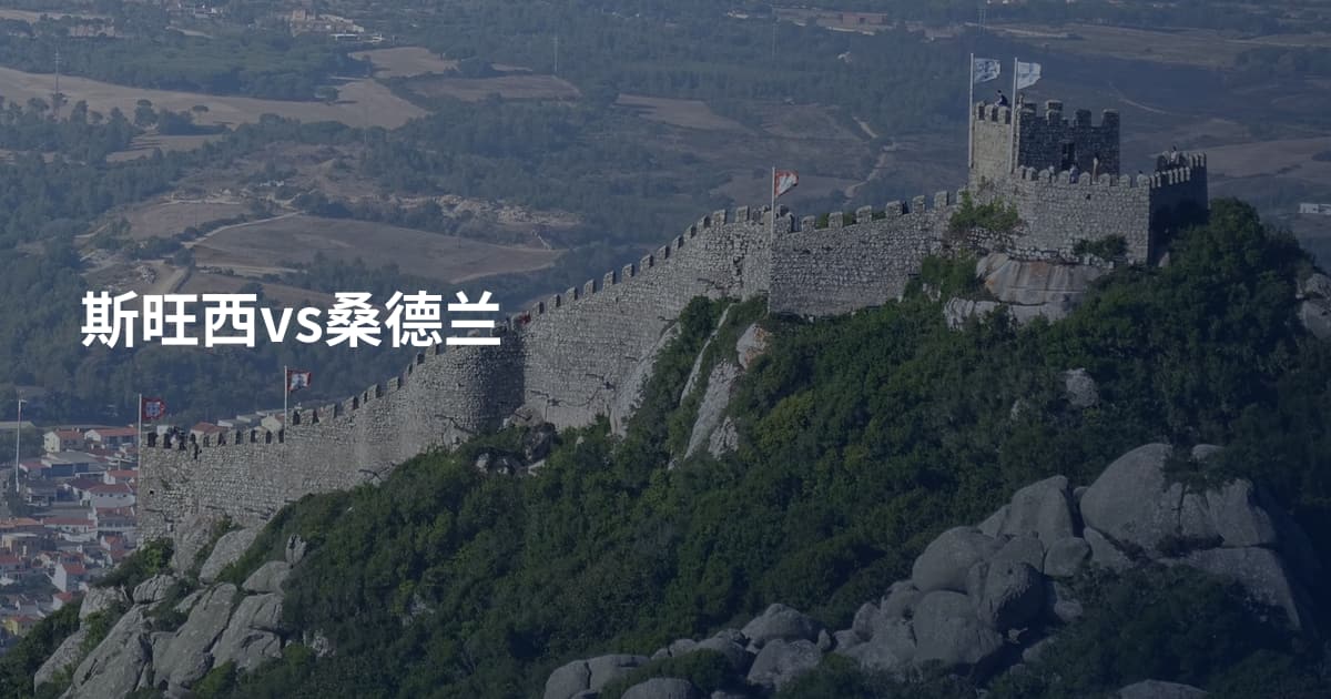 斯旺西vs桑德兰