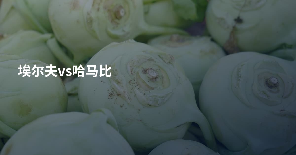 埃尔夫vs哈马比
