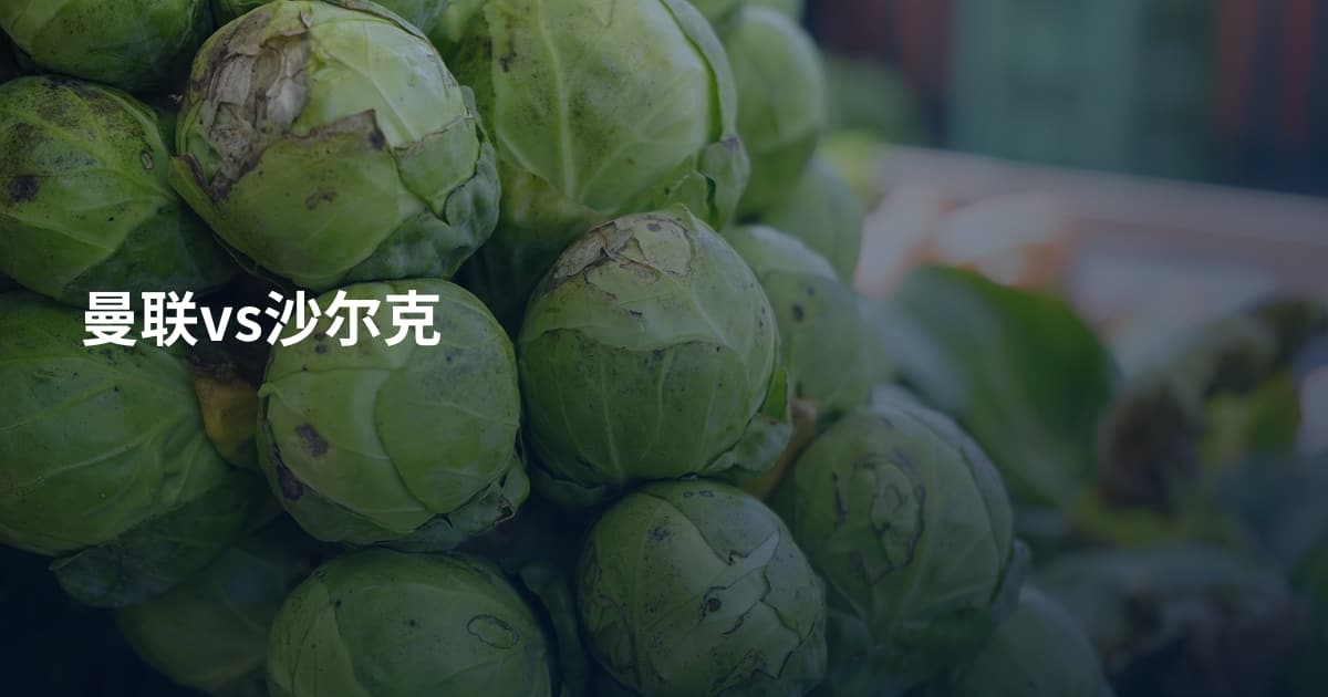 曼联vs沙尔克