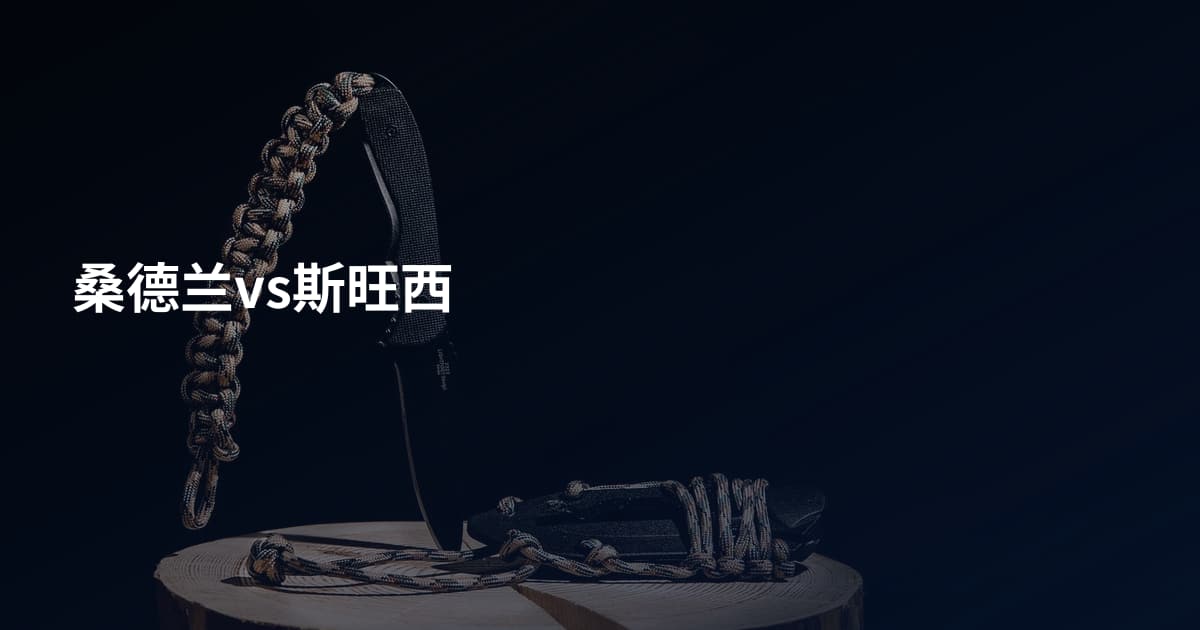 桑德兰vs斯旺西