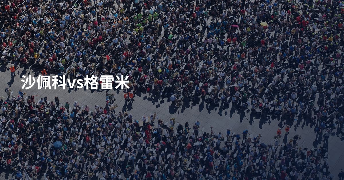 沙佩科vs格雷米