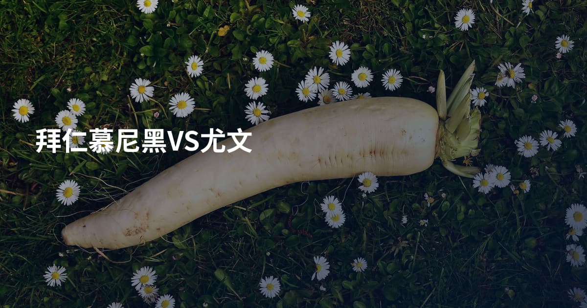 拜仁慕尼黑VS尤文