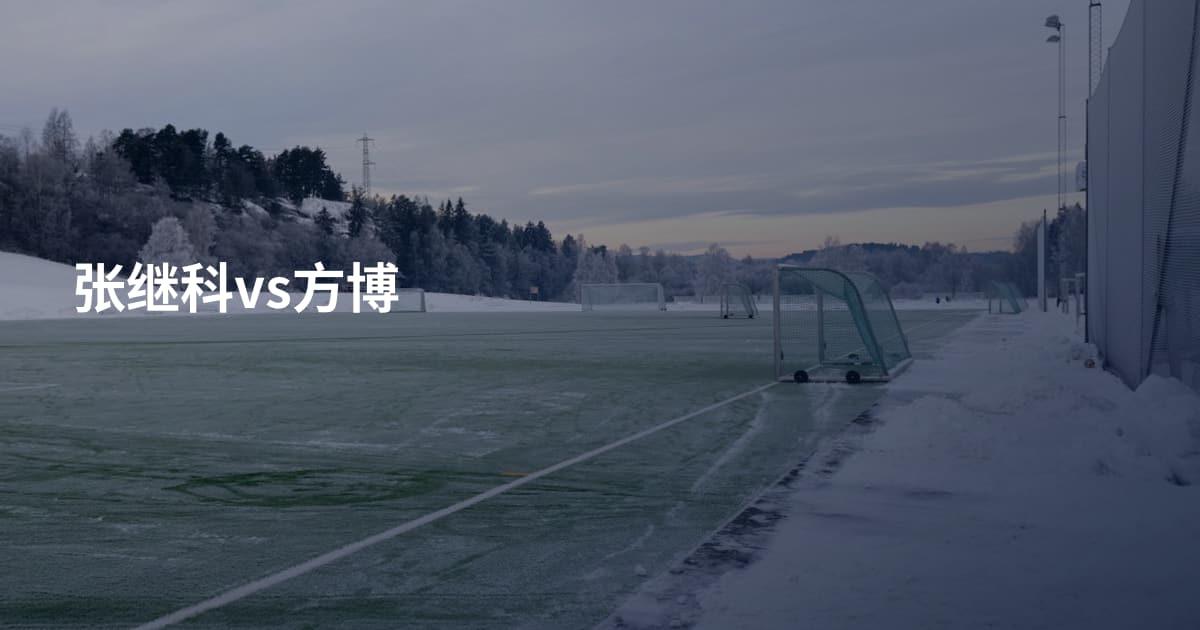 张继科vs方博