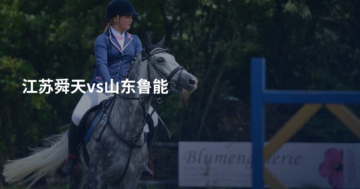 江苏舜天vs山东鲁能