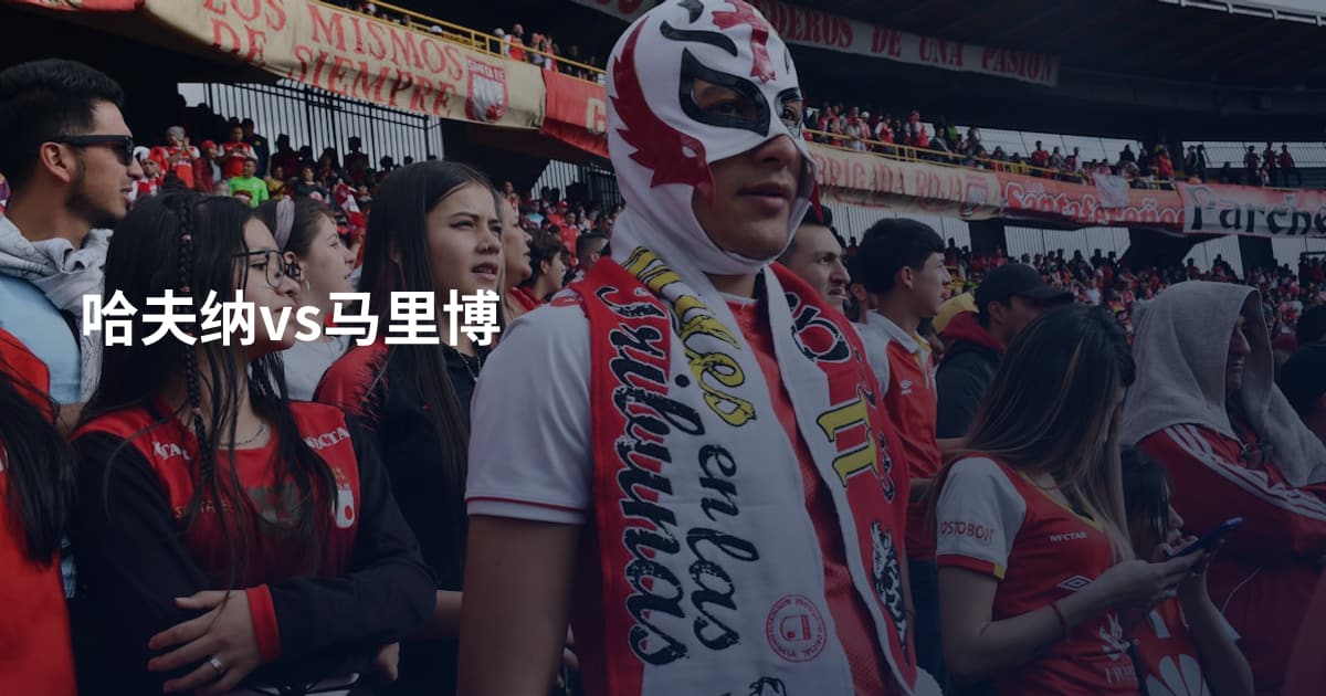 哈夫纳vs马里博