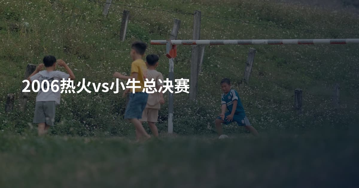 2006热火vs小牛总决赛