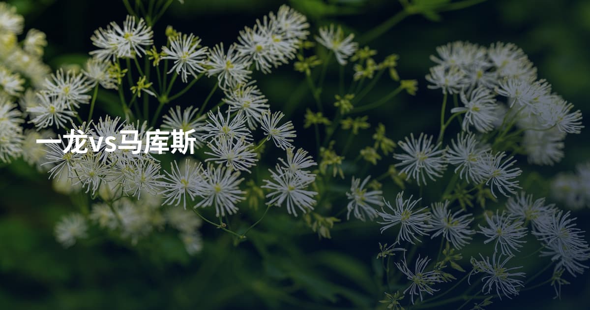 一龙vs马库斯
