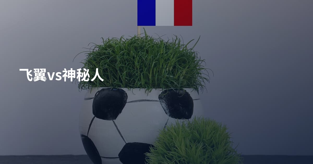 飞翼vs神秘人