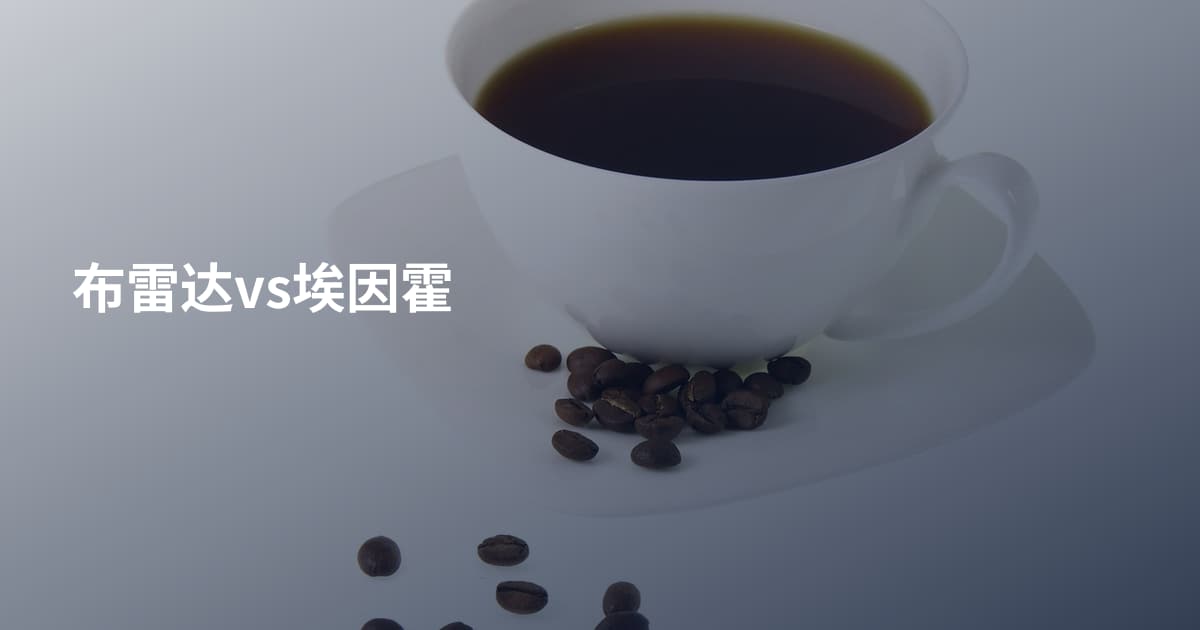 布雷达vs埃因霍