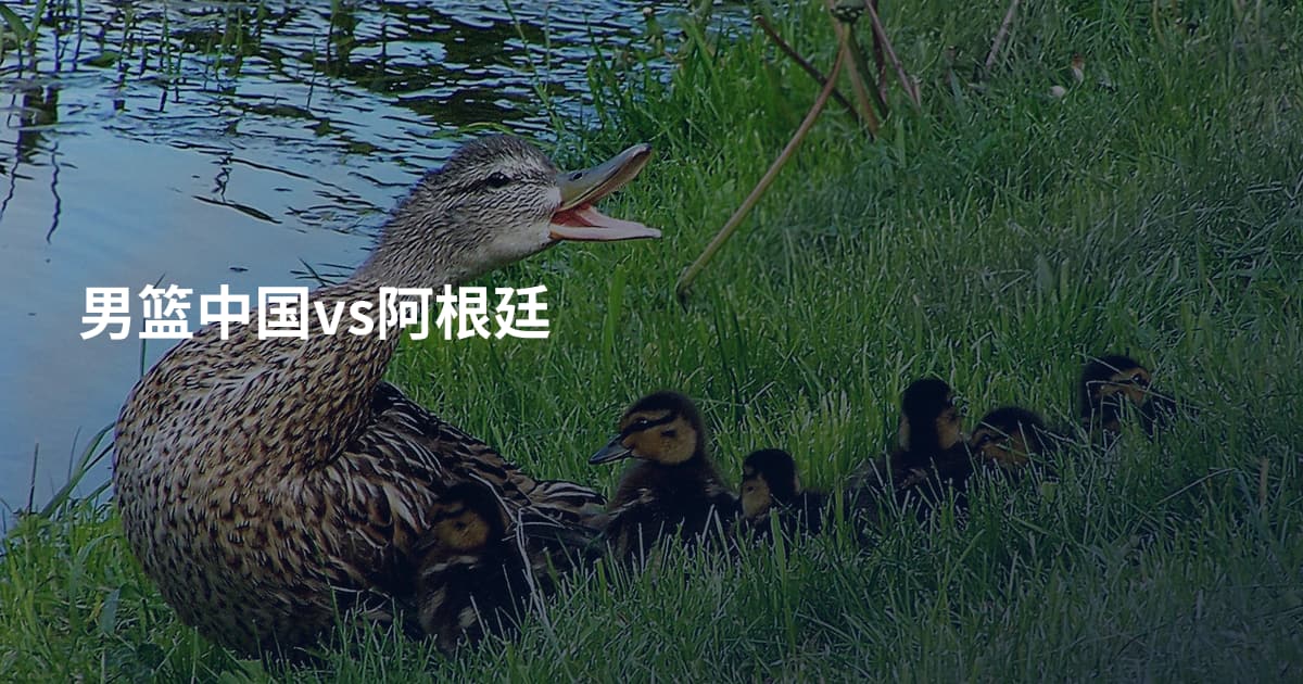 男篮中国vs阿根廷