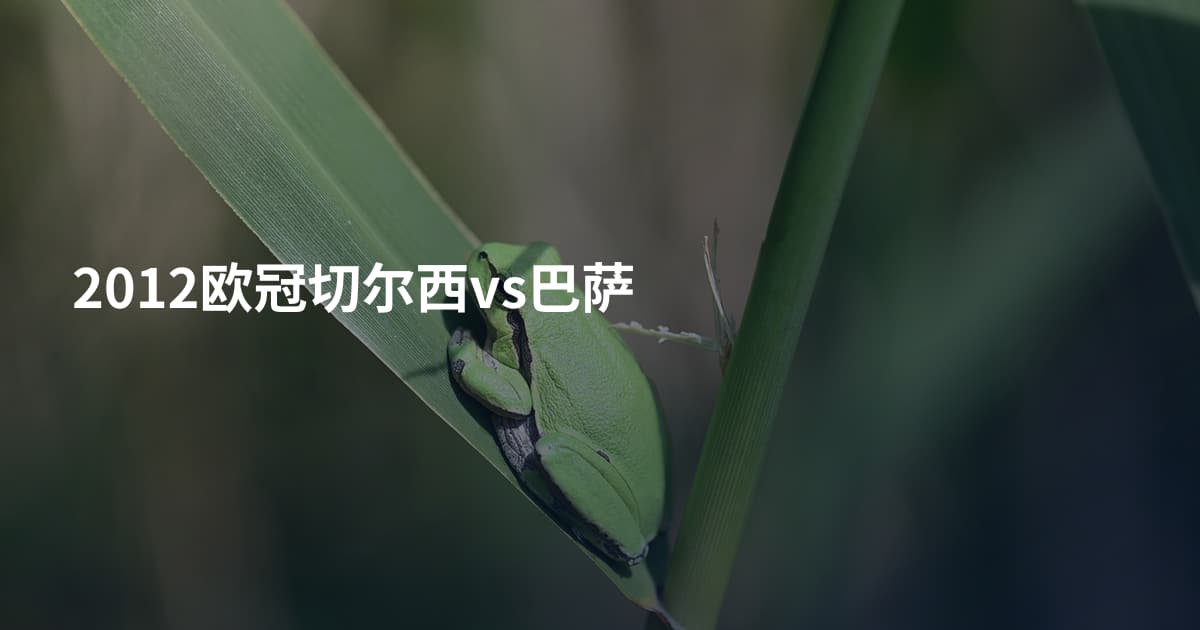 2012欧冠切尔西vs巴萨