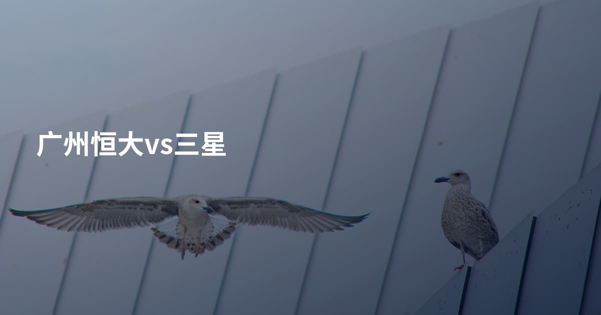 广州恒大vs三星