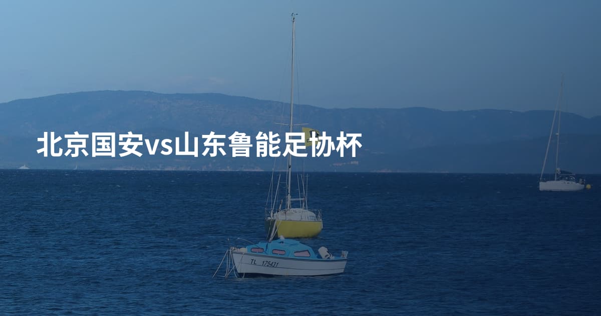 北京国安vs山东鲁能足协杯