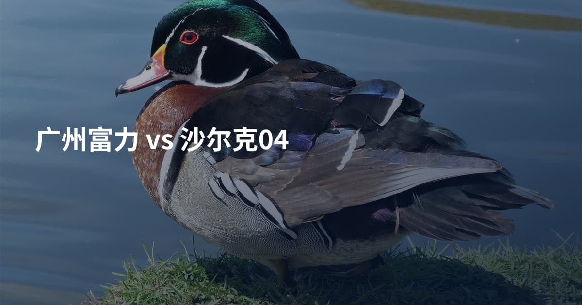 广州富力 vs 沙尔克04